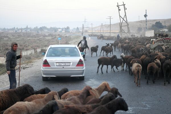 Пастухи перегоняют стадо овец по мосту через реку Вах у села Нури-Вахш в Таджикистане
