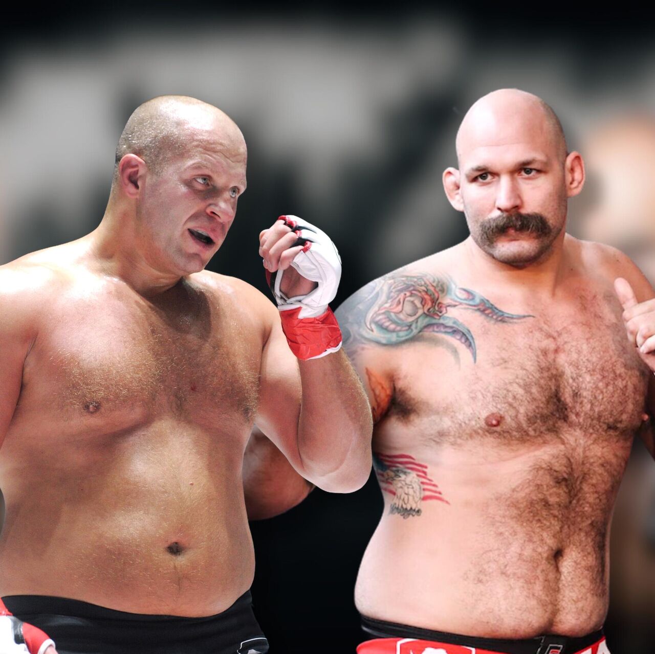 бой емельяненко где смотреть