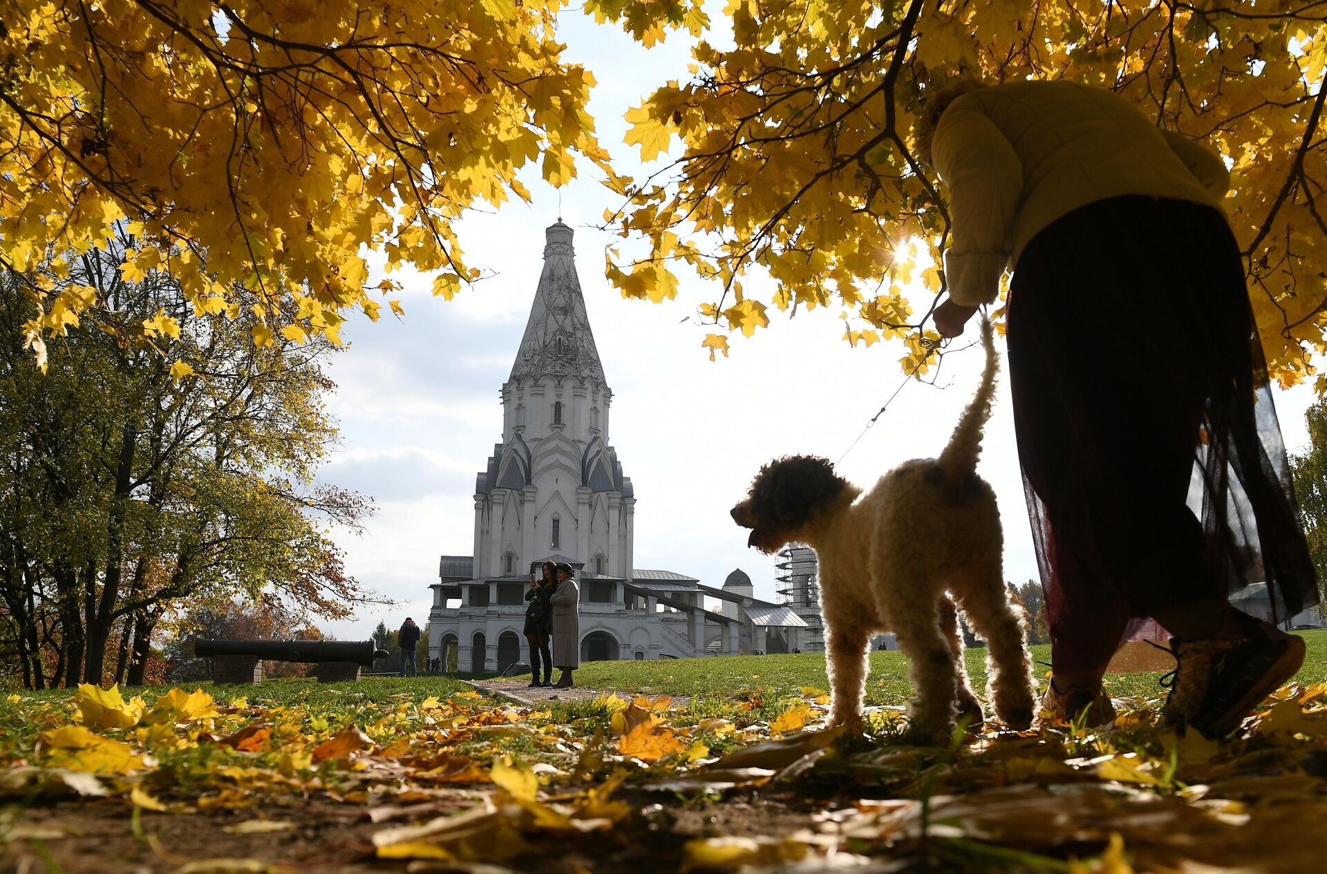 Женщина с собакой гуляет в Коломенском парке в Москве - РИА Новости, 1920, 15.09.2022