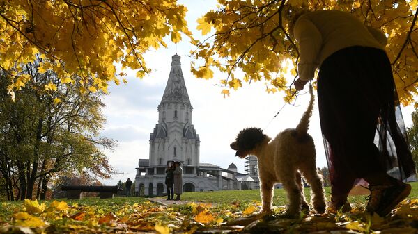 Женщина с собакой гуляет в Коломенском парке в Москве