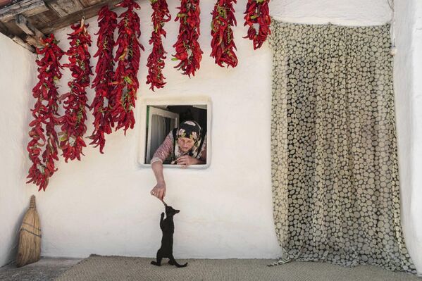 Работа фотографа Hasan Uçar Cat Love, получившая награду Remarkable Artwork в категории Fascinating faces and characters в фотоконкурсе Siena International Photo Awards 2021 Работа фотографа Hasan Uçar Cat Love, получившая награду Remarkable Artwork в категории Fascinating faces and characters в фотоконкурсе Siena International Photo Awards 2021