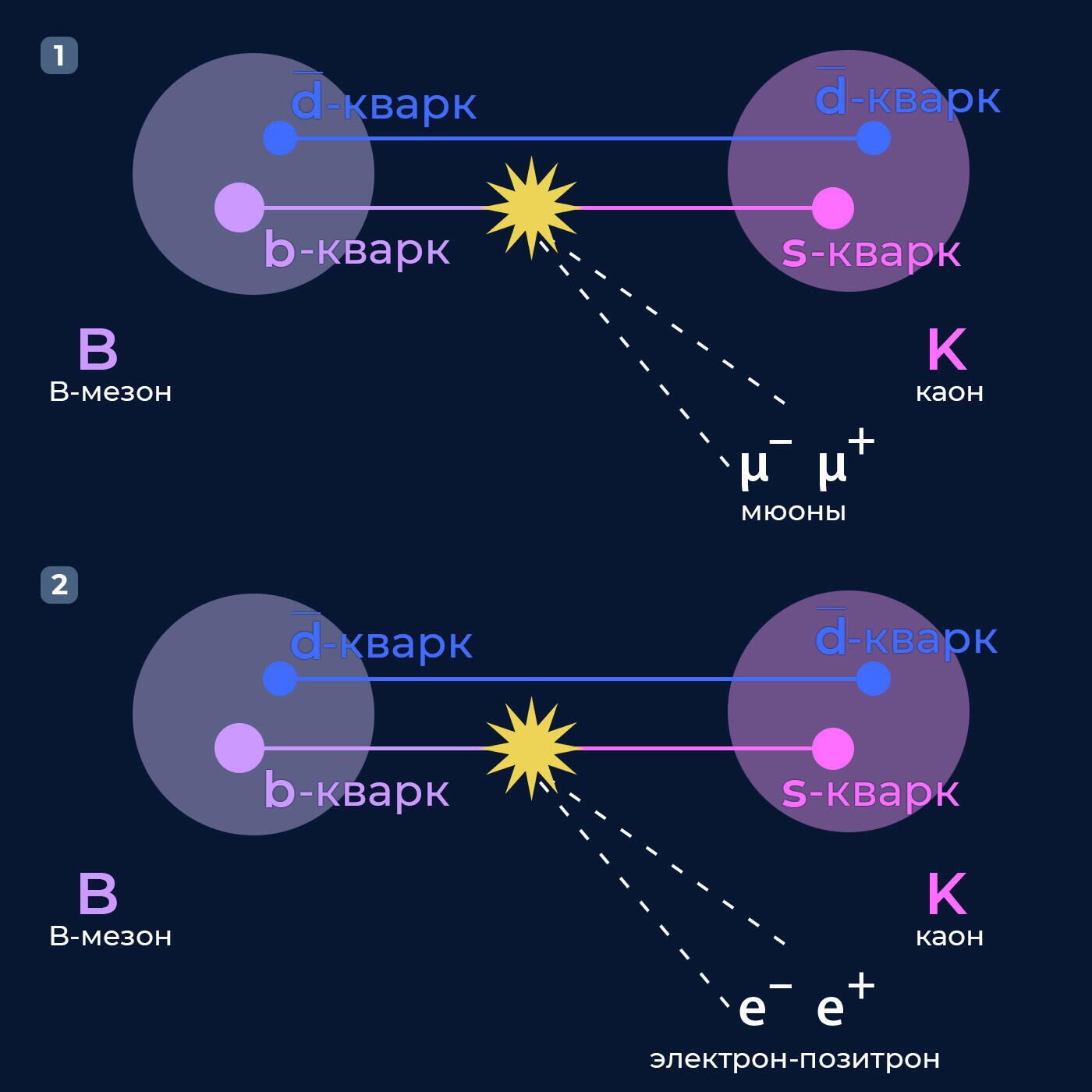 Два варианта распада одной из разновидностей В-мезонов, состоящих из тяжелого b-кварка и легкого d-антикварка с образованием К-мезона (каона), состоящего из s-кварка и d-антикварка. В первом случае при распаде b-кварка образуется пара противоположно заряженных мюонов, во втором — пара электрон — позитрон - РИА Новости, 1920, 25.10.2021