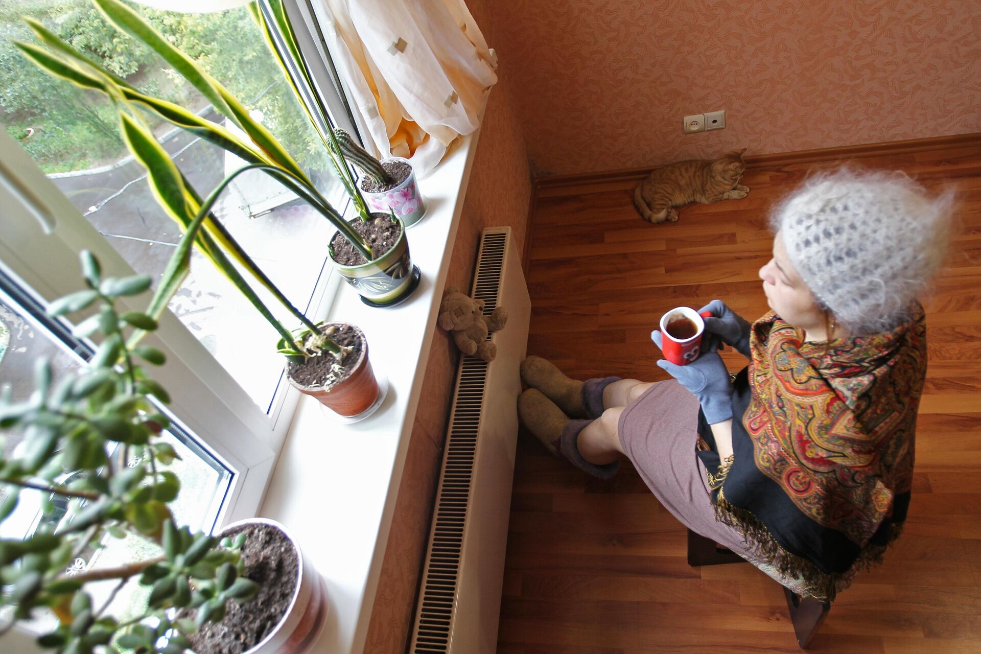 Жительница Москвы сидит в теплой одежде у батареи в квартире - РИА Новости, 1920, 18.11.2022