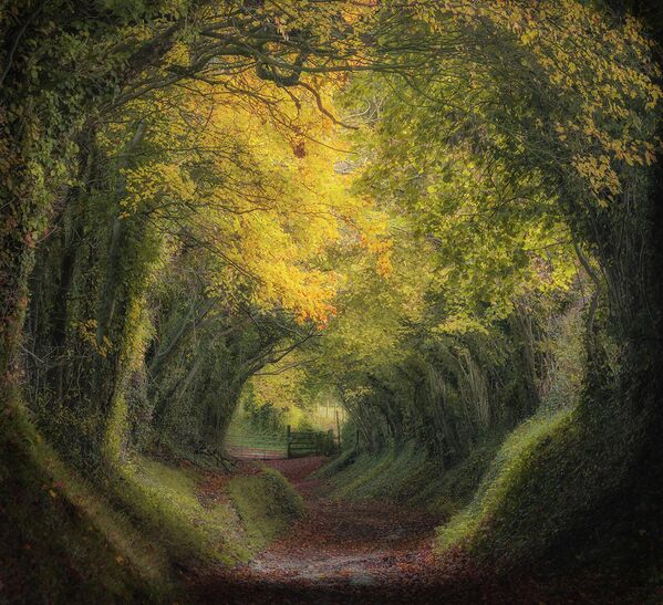 Работа фотографа Mara Leite Morning at Countryside, занявшая первое место в категории Landscape Photographer of the Year в фотоконкурсе UK Landscape Photographer of the Year 2021 Работа фотографа Mara Leite Morning at Countryside, занявшая первое место в категории Landscape Photographer of the Year в фотоконкурсе UK Landscape Photographer of the Year 2021
