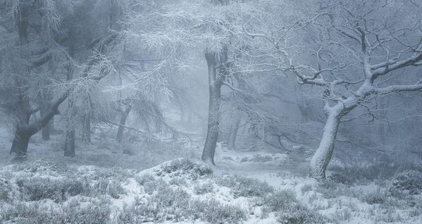 Работа фотографа Michael Allberry Enchanted Winter, получила высокую оценку в фотоконкурсе UK Landscape Photographer of the Year 2021 Работа фотографа Michael Allberry Enchanted Winter, получила высокую оценку в фотоконкурсе UK Landscape Photographer of the Year 2021