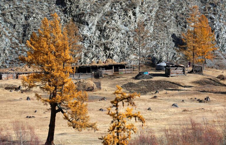 Чабанская стоянка в долине горной реки Ак в предгорьях хребта Западный Саян в Барун-Хемчикском кожууне (районе) на северо-западе Республики Тыва Чабанская стоянка в долине горной реки Ак в предгорьях хребта Западный Саян в Барун-Хемчикском кожууне (районе) на северо-западе Республики Тыва