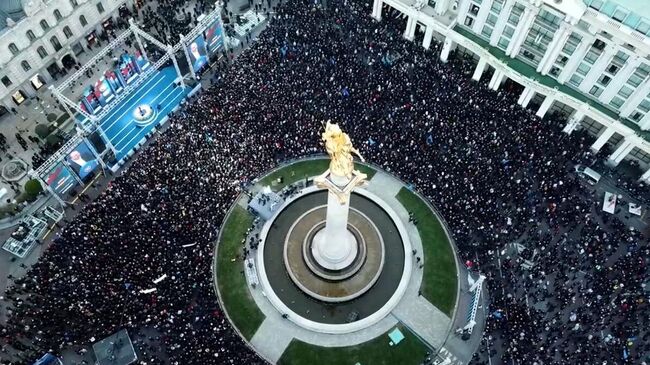 Сторонники партии Грузинская мечта во время акции в Тбилиси