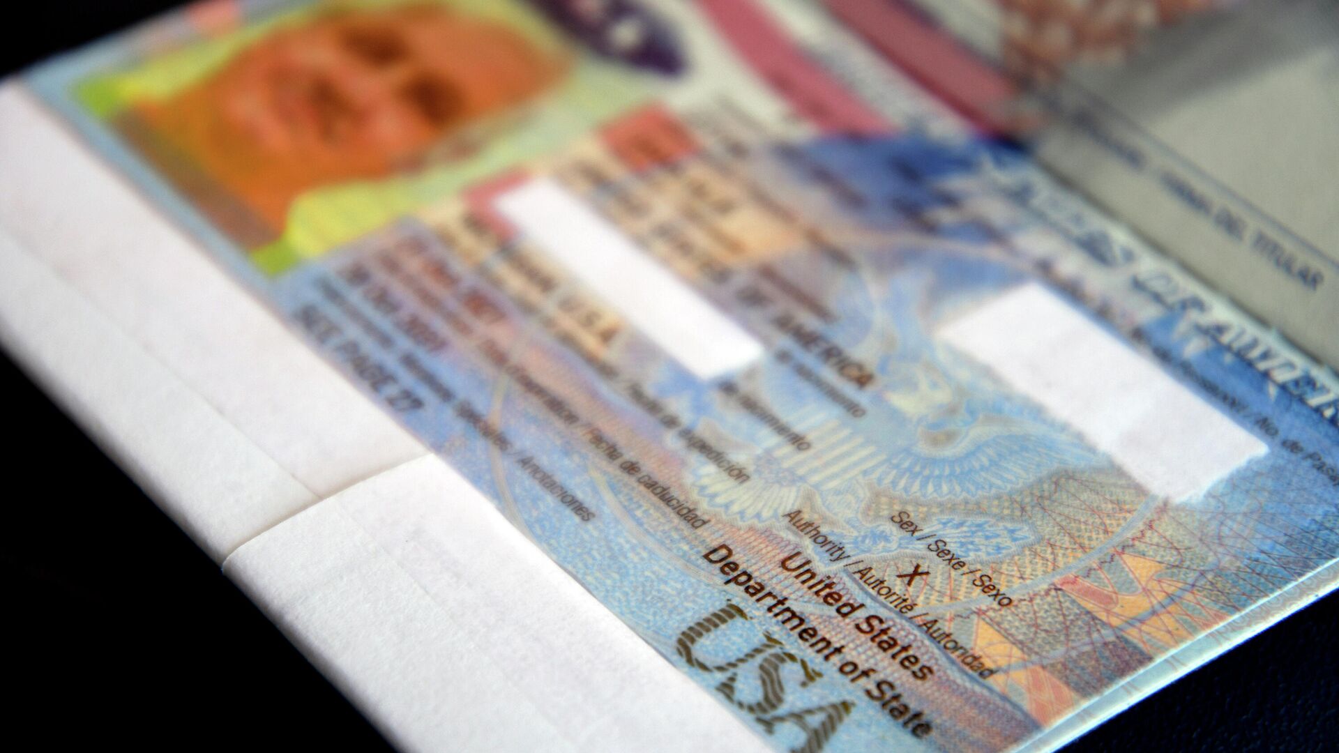 Паспорт, выданный гражданину США Дане Ззийм, с отметкой о гендере X - РИА Новости, 1920, 31.03.2022