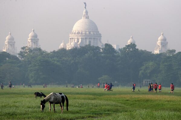Лошади пасутся возле Мемориала Виктории в западной Индии
