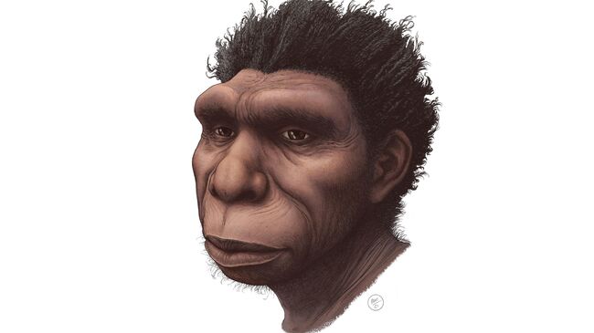  Художественная реконструкция Homo bodoensis