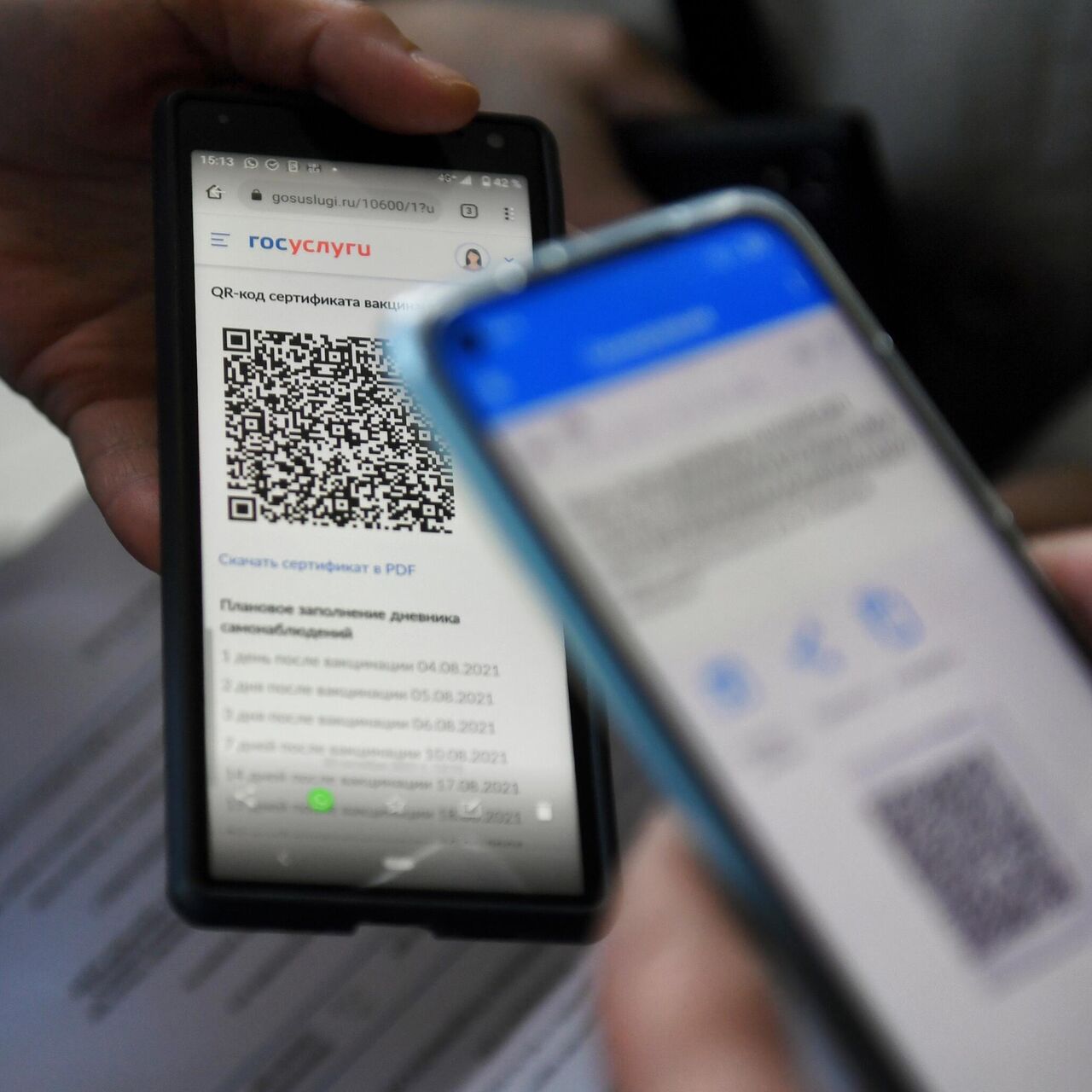 В аэропорту Хабаровска могут ввести QR-коды для желающих купить авиабилеты  - РИА Новости, 03.11.2021