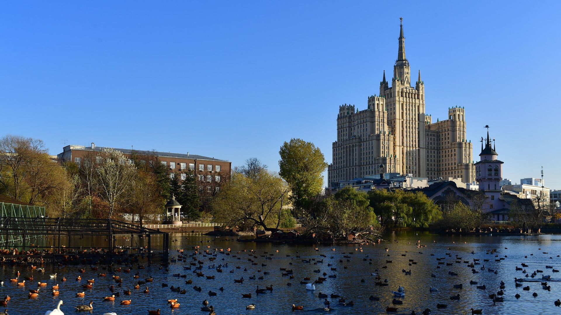 Московский зоопарк - РИА Новости, 1920, 05.09.2024