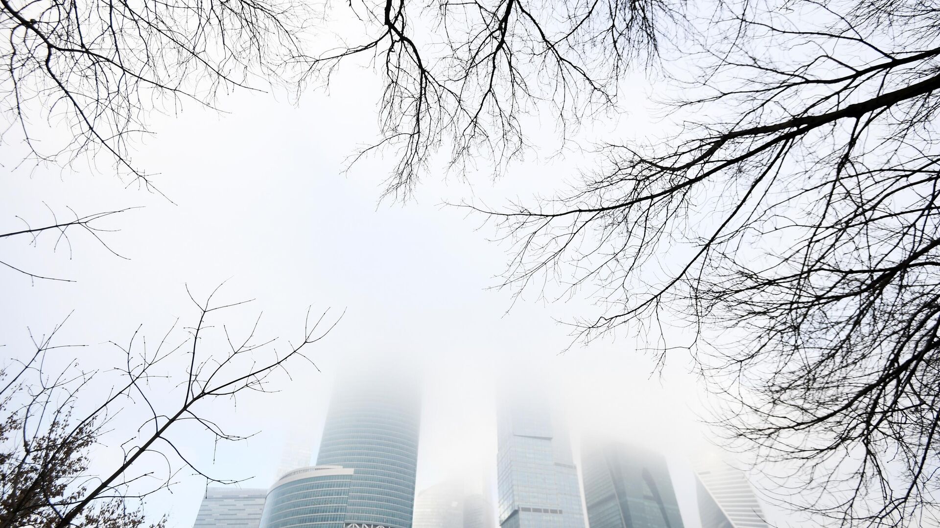Туман в Москве - РИА Новости, 1920, 02.11.2021