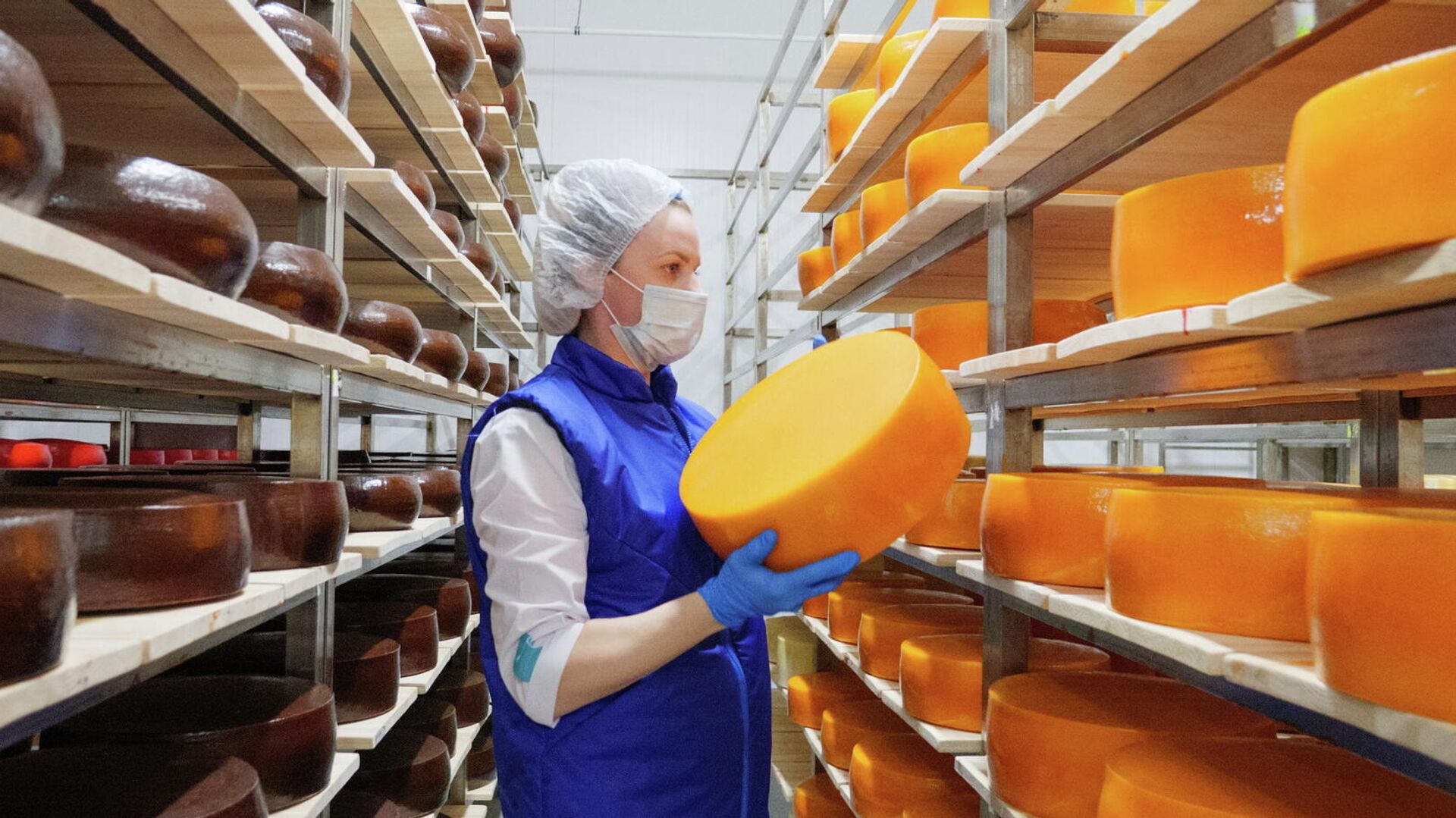 Производство сыра в Ивановской области0