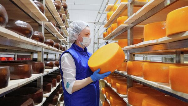Производство сыра в Ивановской области