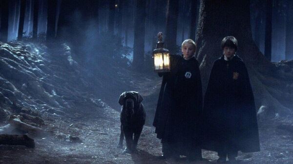 Кадр из фильма Гарри Поттер и философский камень