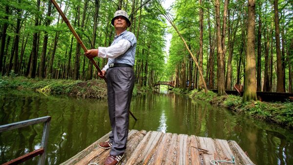 Мужчина на деревянном плоту в бамбуковой роще, провинция Чжэцзян, Китай