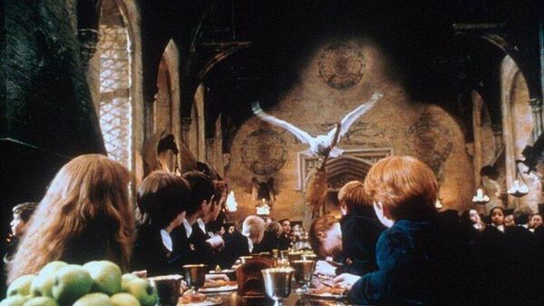Кадр из фильма Гарри Поттер и философский камень