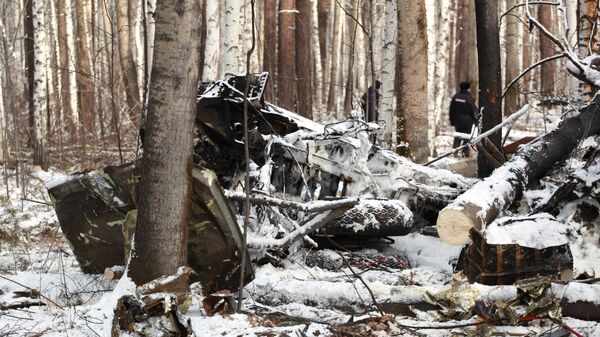 Обломки самолета Ан-12 на месте крушения в Иркутской области