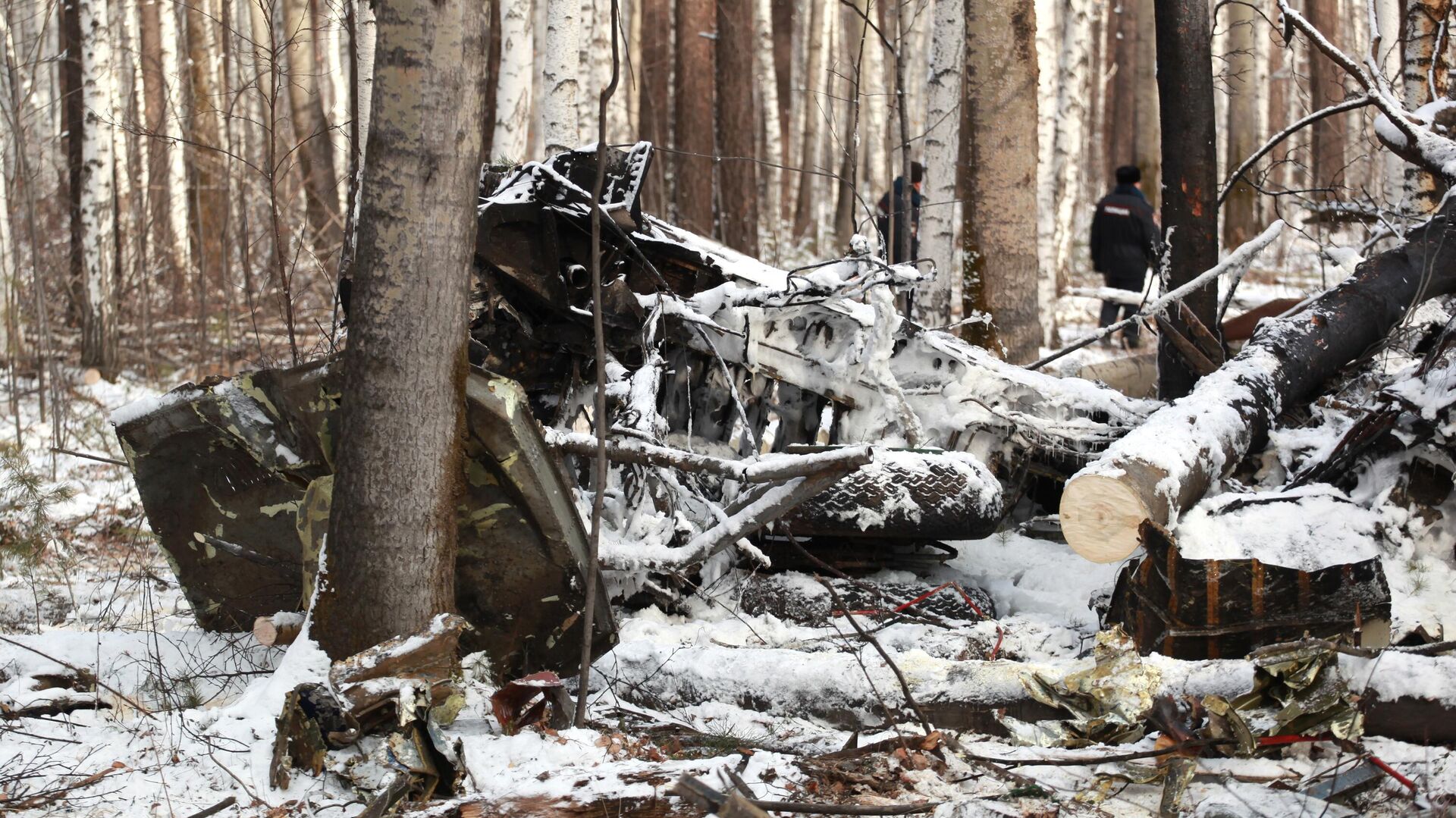 Обломки самолета Ан-12 на месте крушения в Иркутской области - РИА Новости, 1920, 05.11.2021