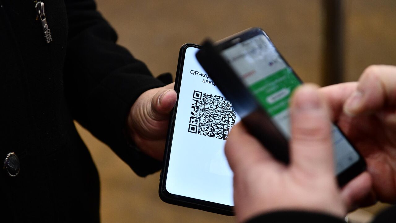 Ростовчане проходили в ТЦ по QR-кодам утюга, стиральной машины и курицы -  РИА Новости, 09.12.2021