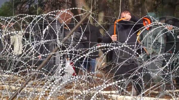 Мигранты на белорусско-польской границе режут ограждение