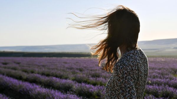 Волосы девушки очаровательно развеваются на фоне лавандового поля