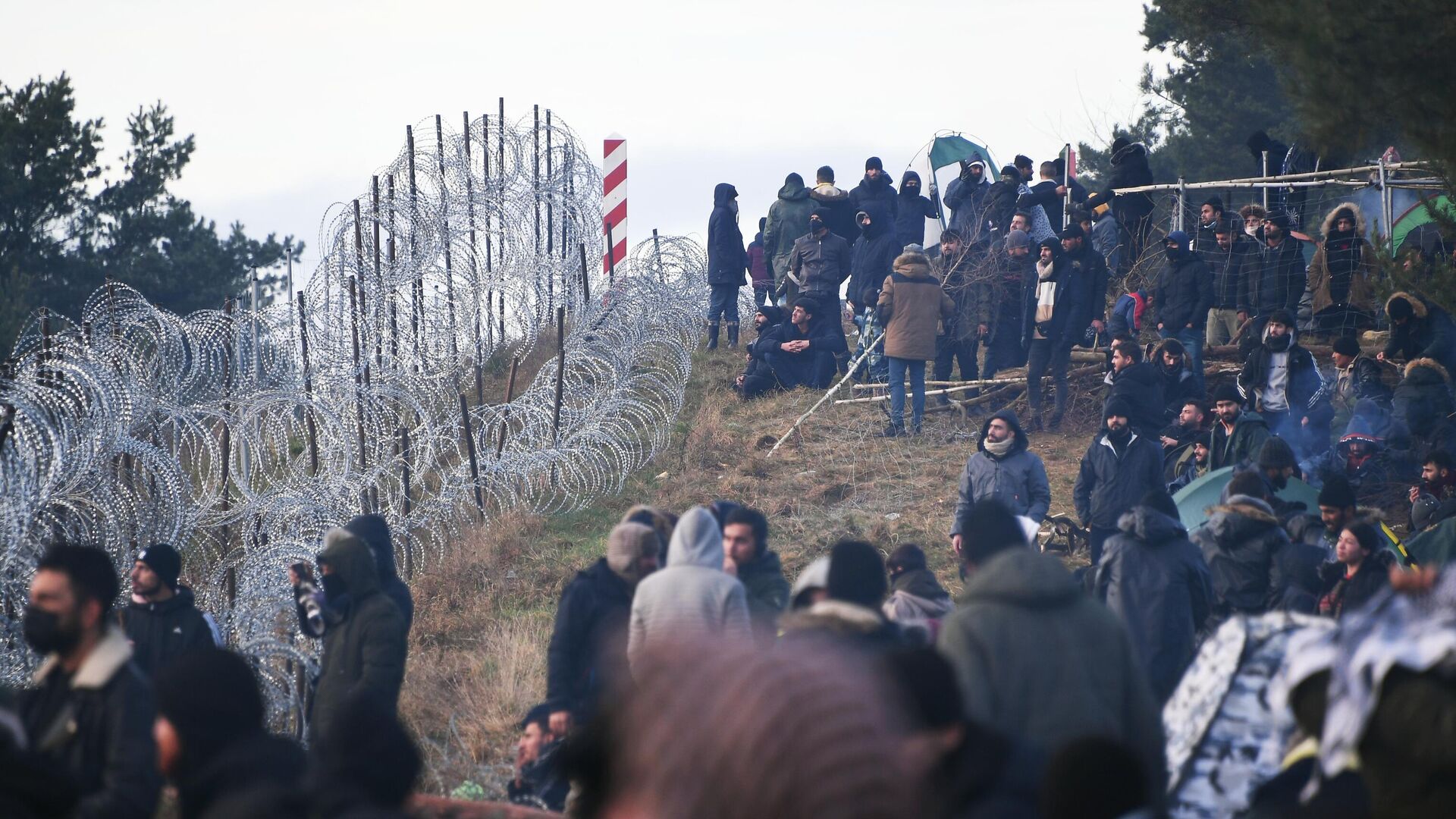 Лагерь нелегальных мигрантов на белорусско-польской границе - РИА Новости, 1920, 09.11.2021