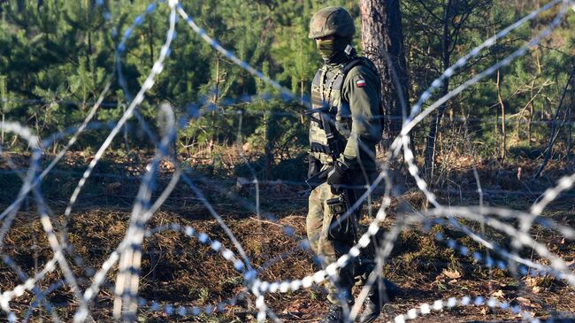 Польский военнослужащий на польско-белорусской границе