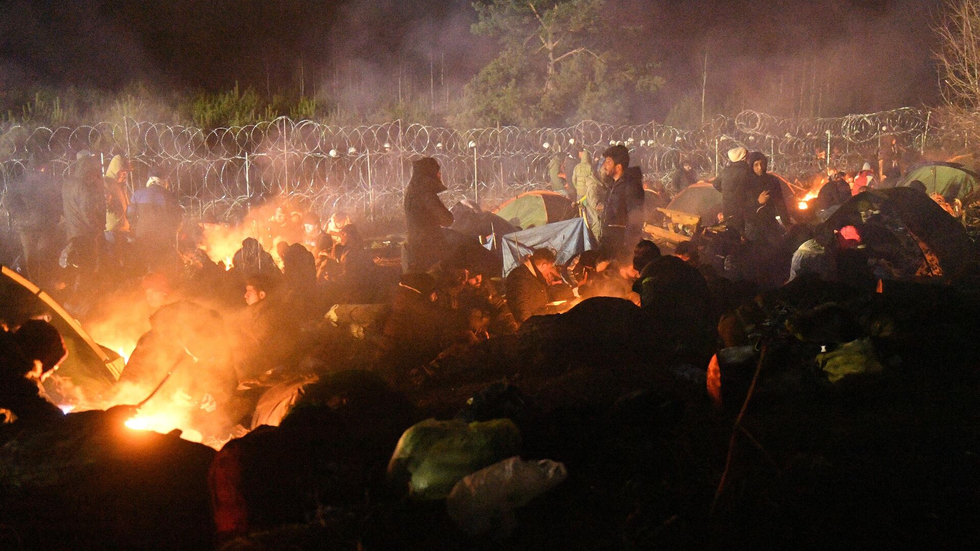 Лагерь нелегальных мигрантов на белорусско-польской границе - РИА Новости, 1920, 11.11.2021