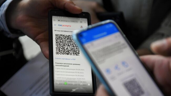Посетитель предъявляет QR-код для проверки при входе в Государственный музей изобразительных искусств имени А. С. Пушкина в Москве