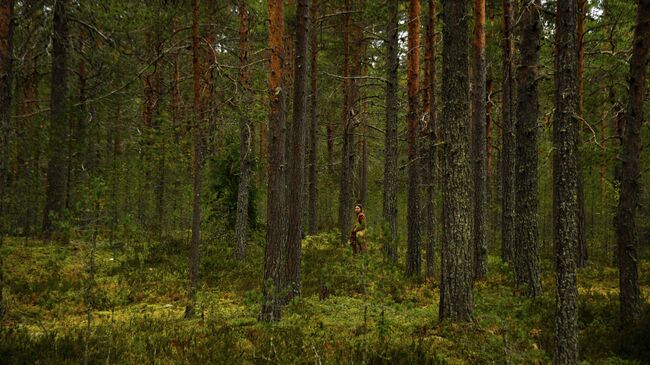 Девушка гуляет в лесу на острове Койонсаари в Лахденпохском районе Карелии
