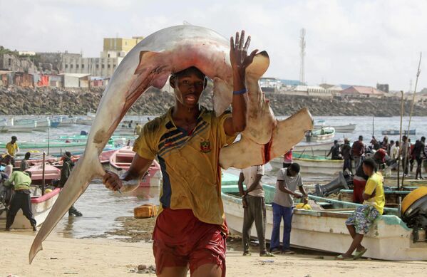 Рыбак несет добычу в Сомали 