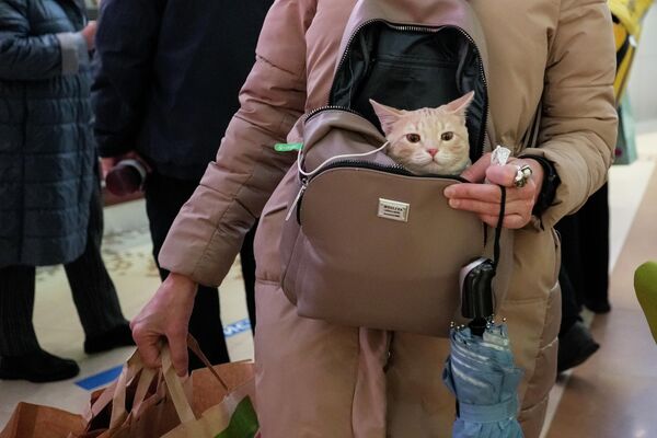 Женщина несет кошку в сумке в магазине в Москве, Россия