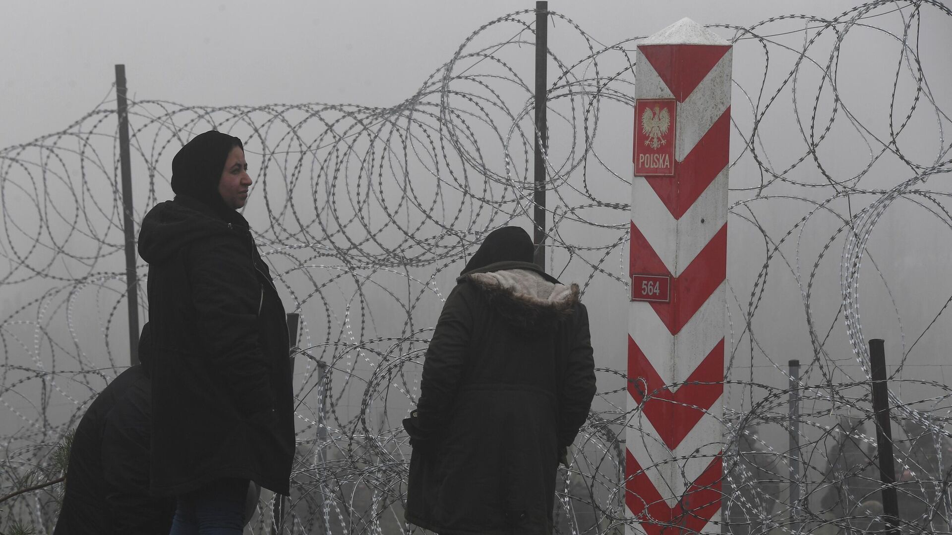 Беженцы возле заграждения из колючей проволоки в лагере нелегальных мигрантов на белорусско-польской границе - РИА Новости, 1920, 13.11.2021