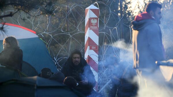 LIVE: Лагерь мигрантов на белорусско-польской границе