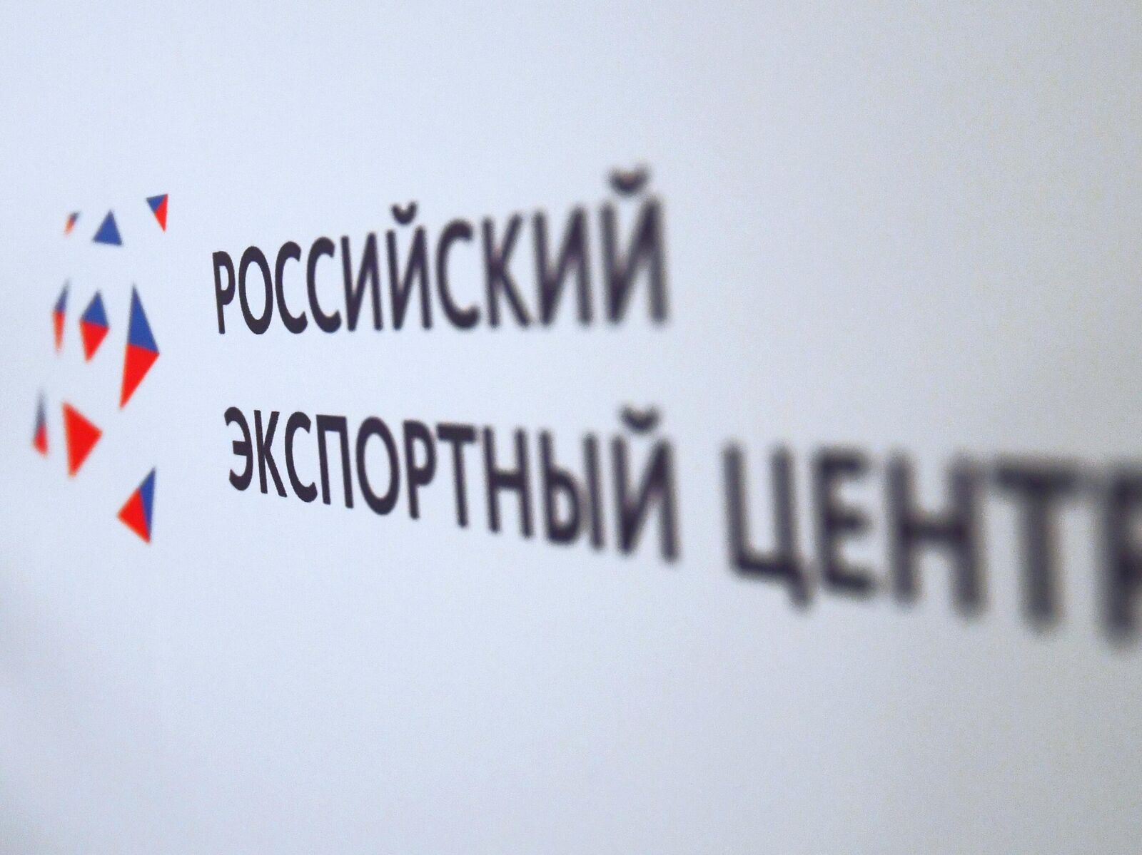 Одно окно рэц презентация