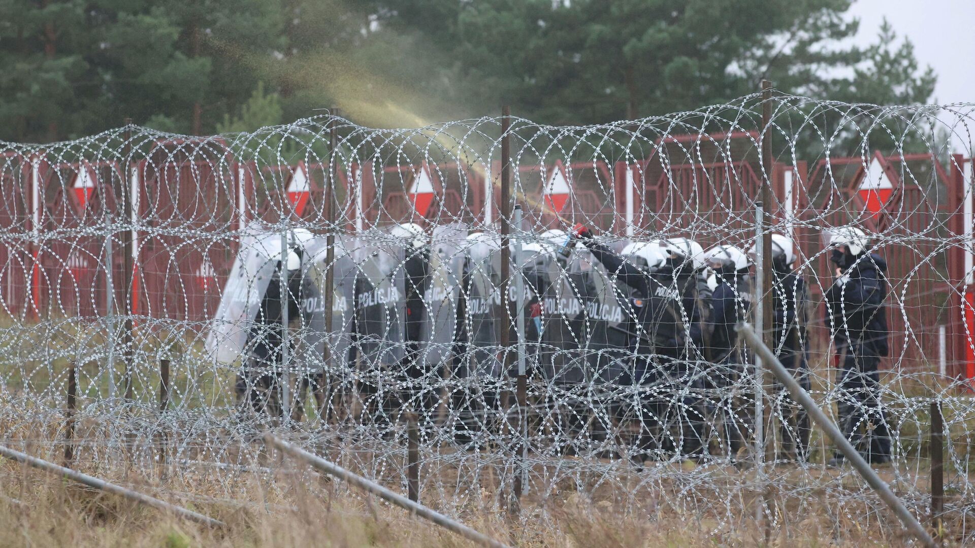 Сотрудники правоохранительных органов Польши применяют слезоточивый газ при попытке мигрантов пересечь белорусско-польскую границу в пункте пропуска Брузги - Кузница - РИА Новости, 1920, 24.11.2021