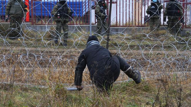 Мужчина пытается преодолеть проволочные заграждения на белорусско-польской границе