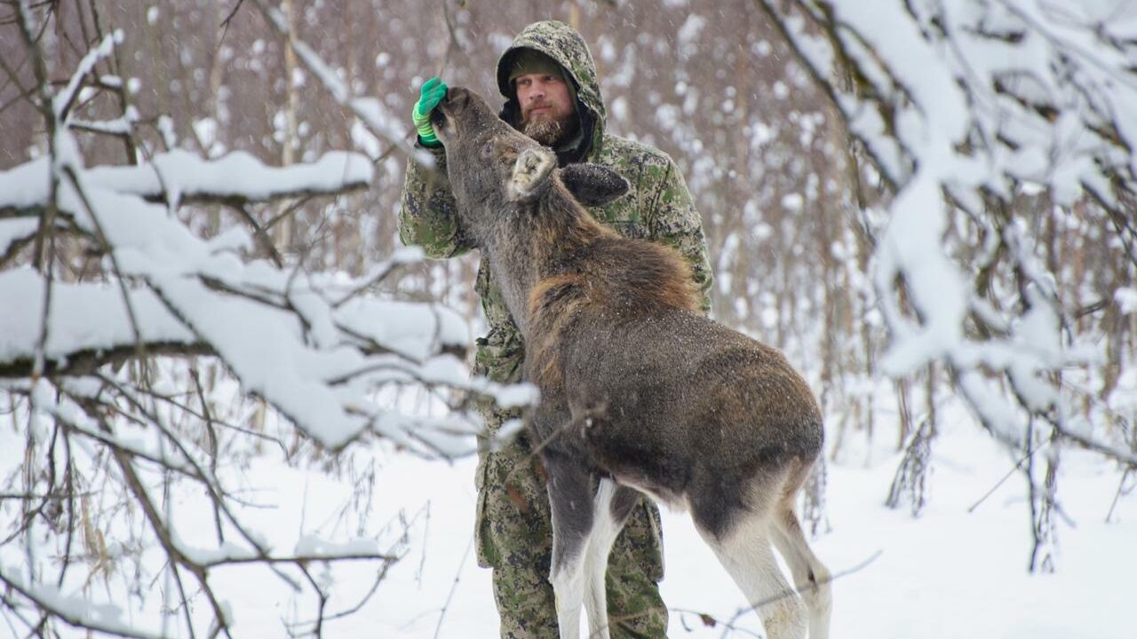 С деньгами и властью