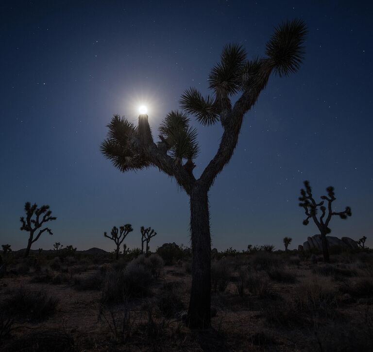 Работа фотографа Джай Шет, победившая в номинации Юность в фотоконкурсе Natural Landscape Photography Awards