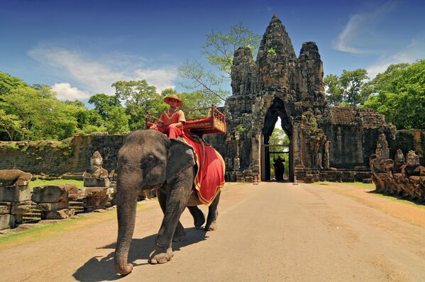 Катание на слонах в Камбодже 