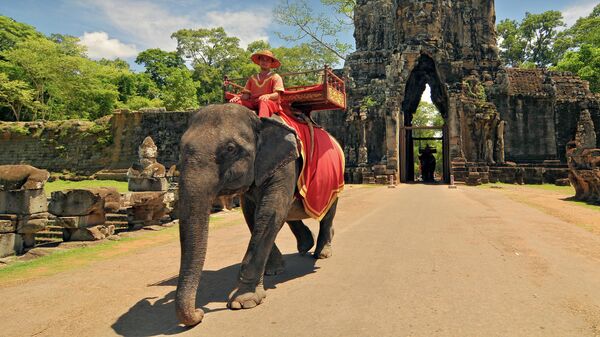 Катание на слонах в Камбодже 