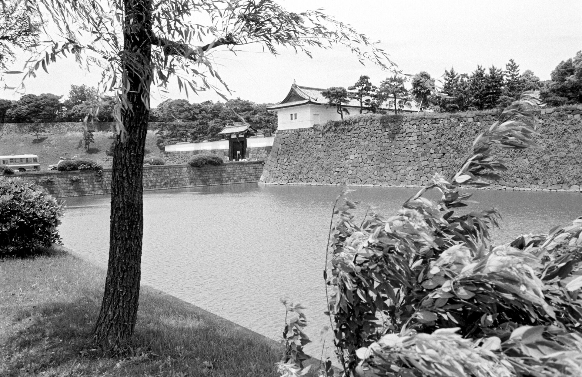 Вид на Дворец императора Японии - РИА Новости, 1920, 19.11.2021