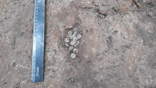 Монеты, обнаруженные археологами музея-заповедника Куликово поле в лесу в десяти километрах от центра Тулы