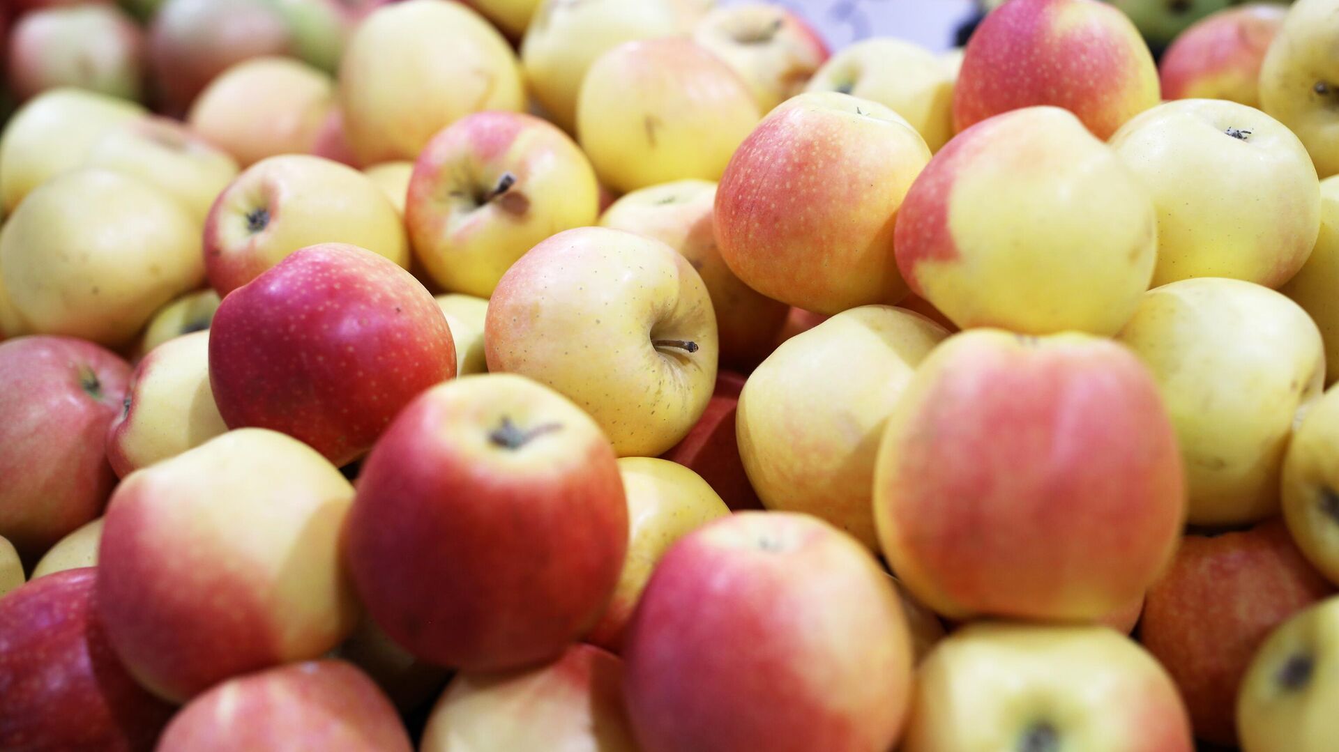 "ИноСМИ": яблоки необходимо есть с кожурой, которая содержит большую часть клетчатки