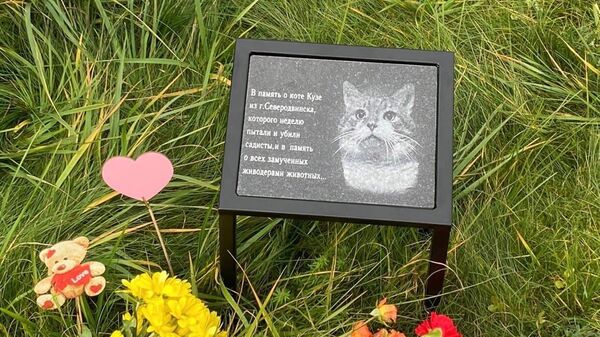 Мемориал коту Кузе на кладбище животных в Санкт-Петербурге