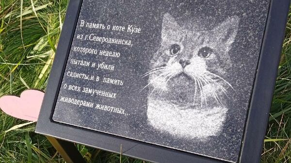 Мемориал коту Кузе на кладбище животных в Санкт-Петербурге