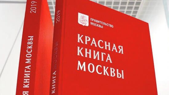  Онлайн-проект Красная книга Москвы - РИА Новости, 1920, 17.11.2021