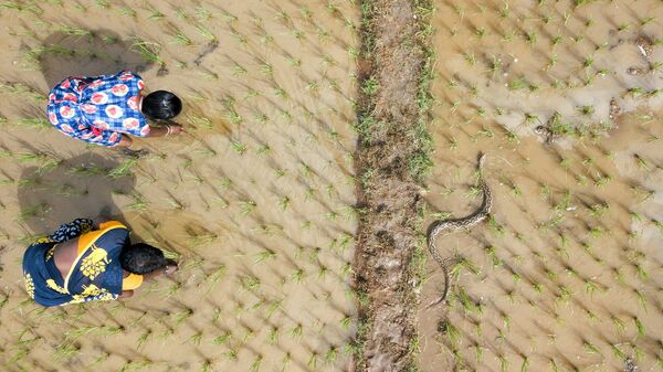 Работа фотографа Gnaneswar CH This Divided Land, финалист в категории Conservation Issues в фотоконкурсе Nature inFocus 2021 